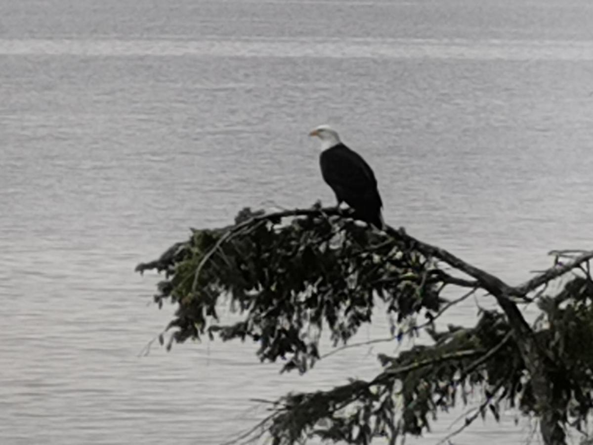 Vancouver Island Castle Cove Inn Chemainus Bagian luar foto