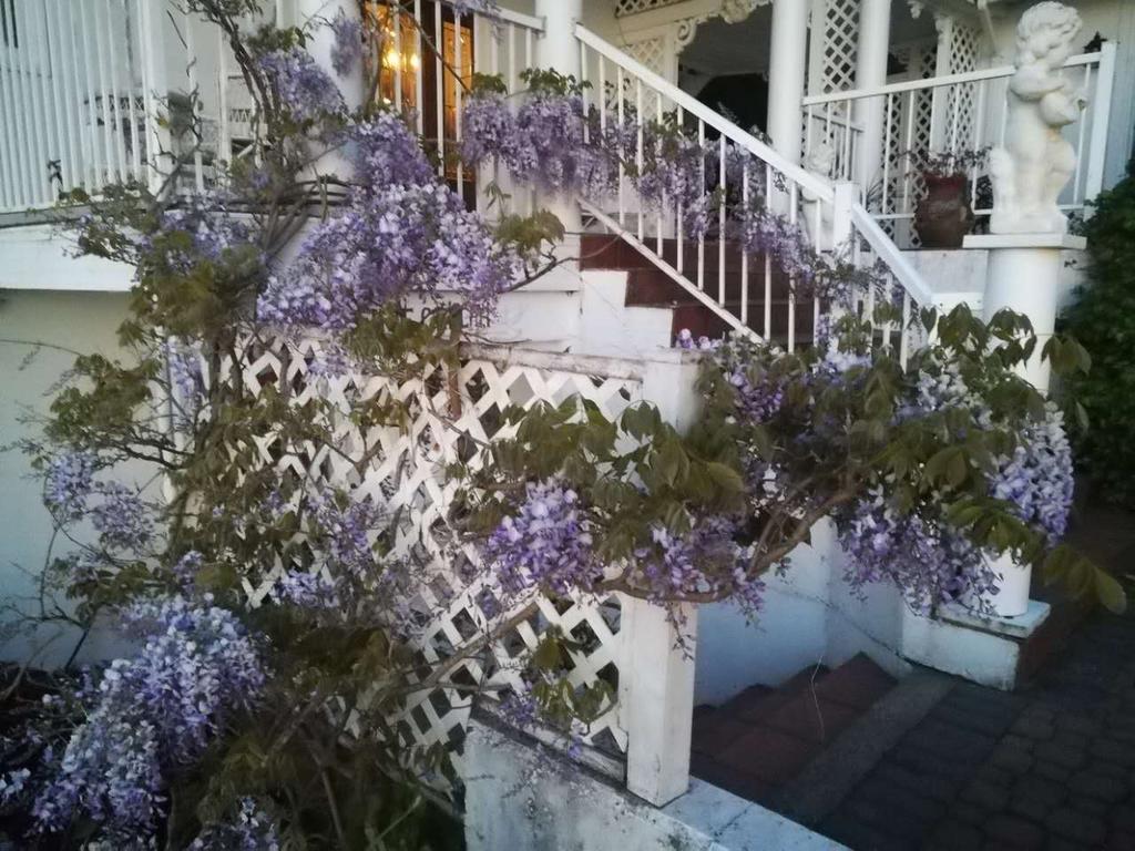 Vancouver Island Castle Cove Inn Chemainus Bagian luar foto
