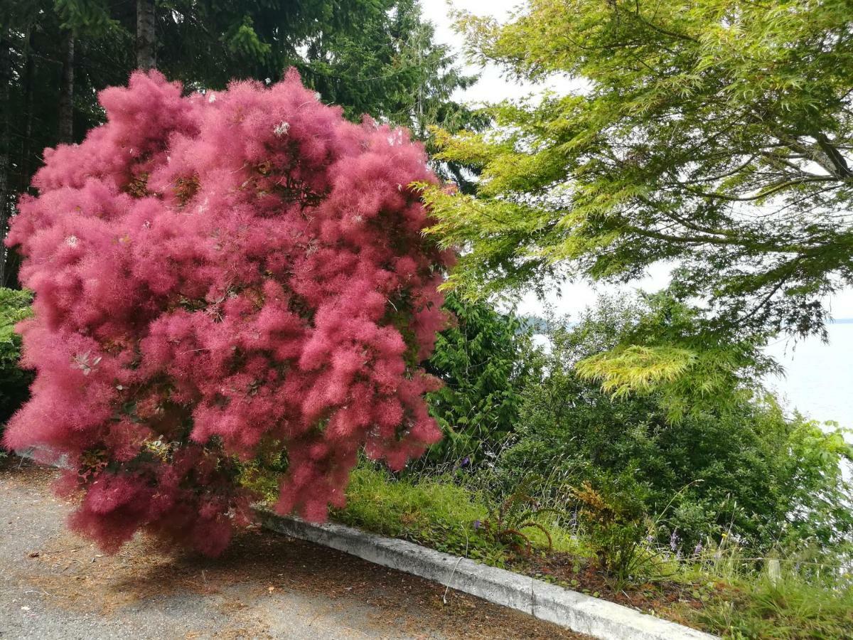 Vancouver Island Castle Cove Inn Chemainus Bagian luar foto