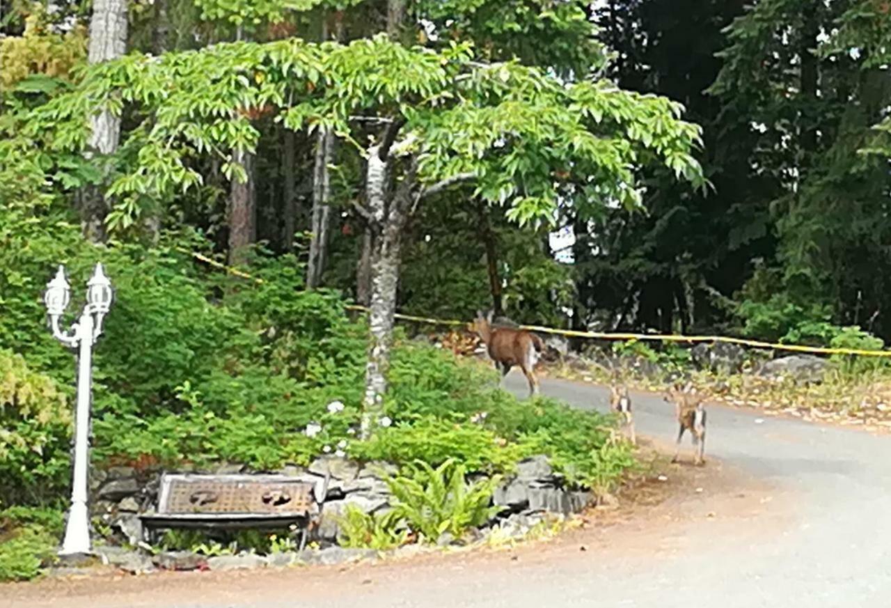 Vancouver Island Castle Cove Inn Chemainus Bagian luar foto