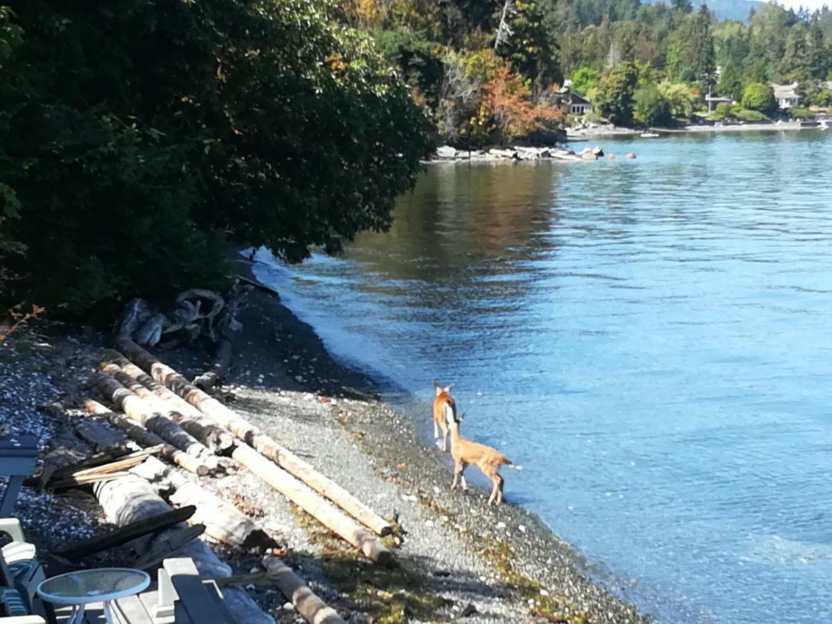 Vancouver Island Castle Cove Inn Chemainus Bagian luar foto